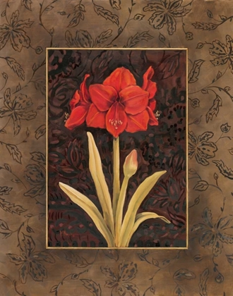 Picture of DAMASK AMARYLLIS