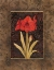 Picture of DAMASK AMARYLLIS