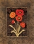 Picture of DAMASK POPPIES