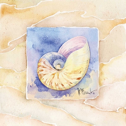 Picture of NAUTILUS