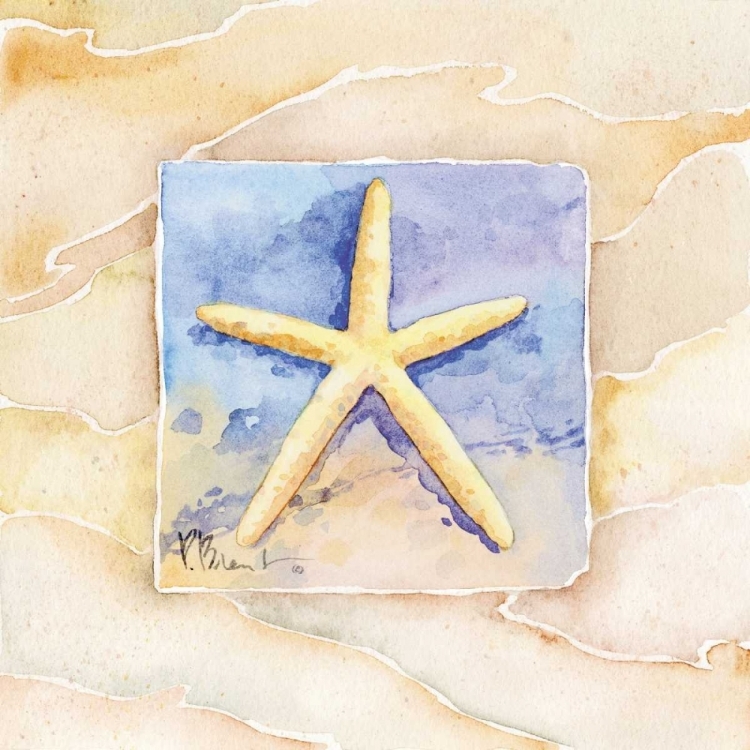 Picture of STARFISH