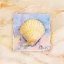 Picture of SCALLOP