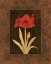 Picture of DAMASK AMARYLLIS