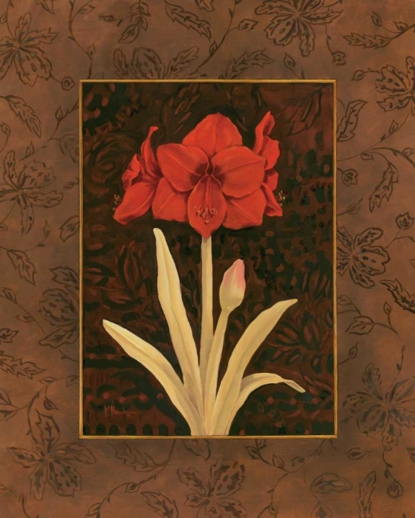 Picture of DAMASK AMARYLLIS