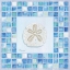 Picture of MOSAIC SANDDOLLAR