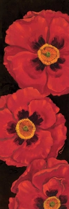 Picture of BELLA GRANDE POPPIES