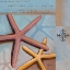 Picture of SANIBEL STARFISH