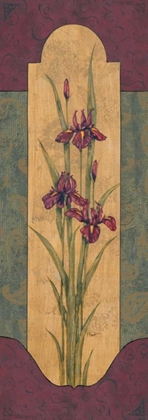 Picture of GREEK IRIS I