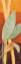 Picture of BALI LEAVES I