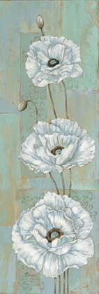 Picture of FLORENTINE POPPIES