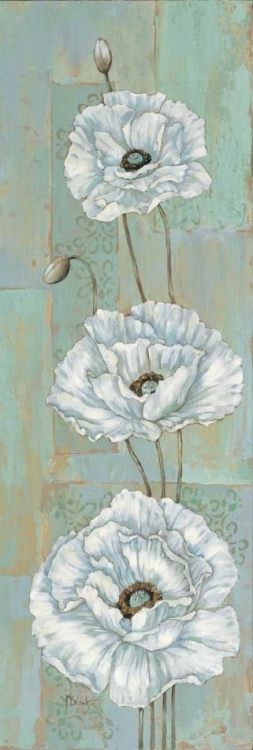 Picture of FLORENTINE POPPIES