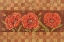 Picture of VENETIAN POPPIES