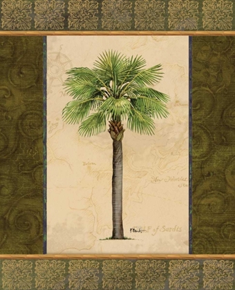 Picture of EAST INDIES PALM I