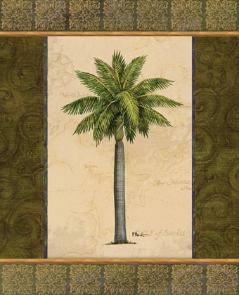 Picture of EAST INDIES PALM II