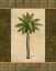 Picture of EAST INDIES PALM II