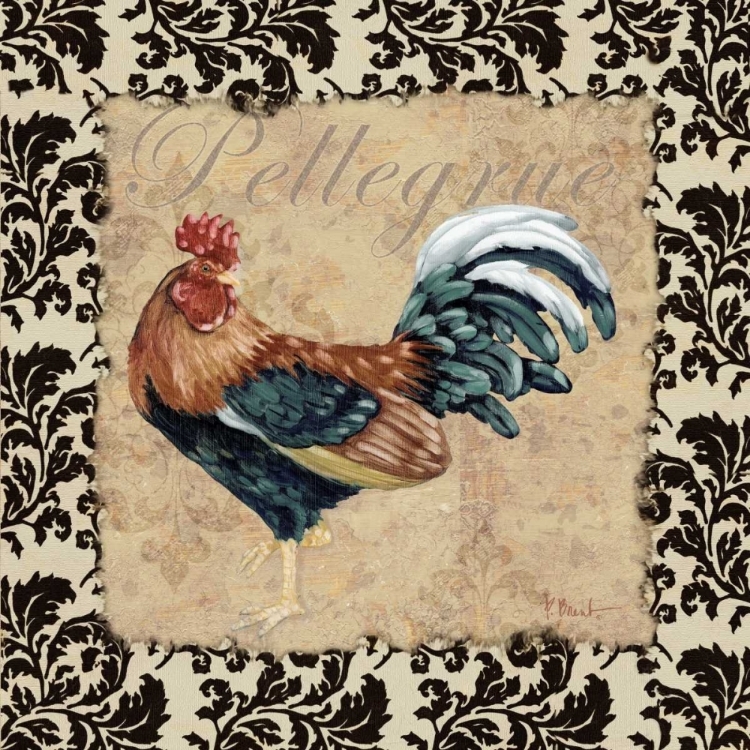 Picture of BERGERAC ROOSTER BLACK II