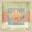 Picture of MONTEGO SCALLOP