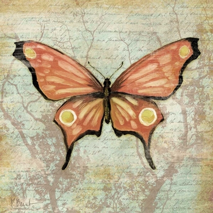Picture of VINTAGE BUTTERFLIES I