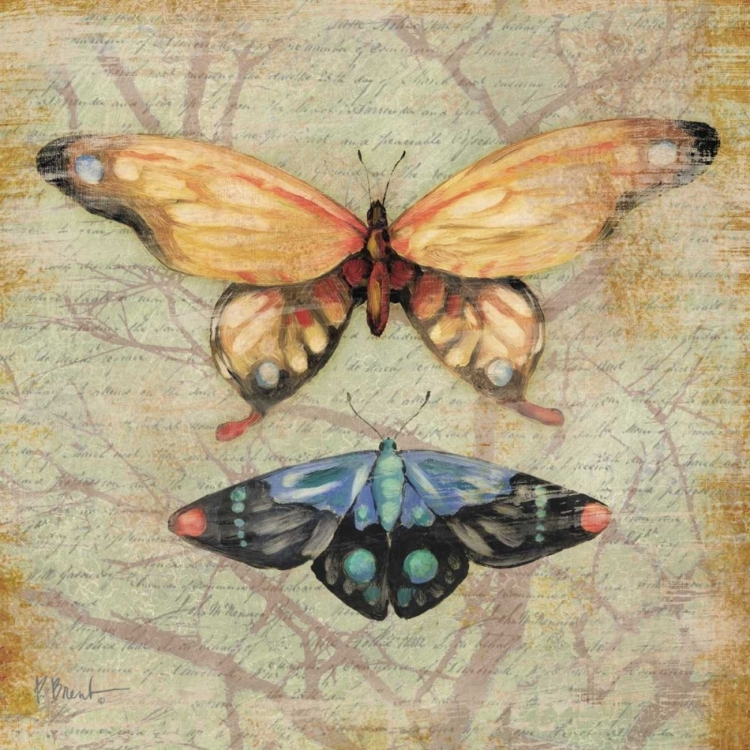 Picture of VINTAGE BUTTERFLIES II