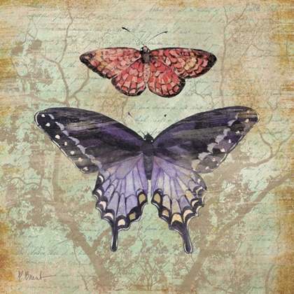 Picture of VINTAGE BUTTERFLIES IV