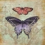 Picture of VINTAGE BUTTERFLIES IV