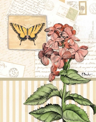 Picture of BOTANICAL COLLAGE I