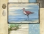 Picture of SANDPIPER COLLAGE II
