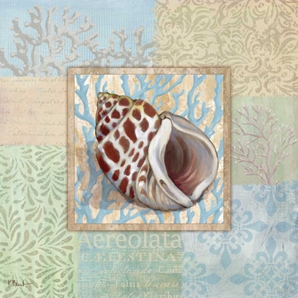 Picture of OCEANIC SHELL COLLAGE I