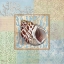 Picture of OCEANIC SHELL COLLAGE I