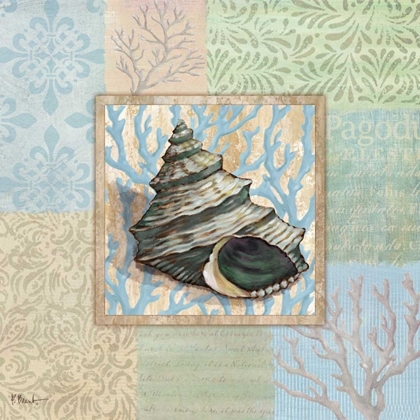 Picture of OCEANIC SHELL COLLAGE II