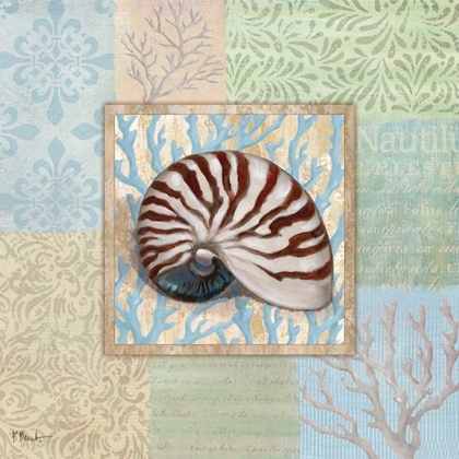 Picture of OCEANIC SHELL COLLAGE III