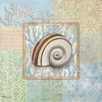 Picture of OCEANIC SHELL COLLAGE IV