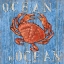 Picture of COASTAL USA RED CRAB
