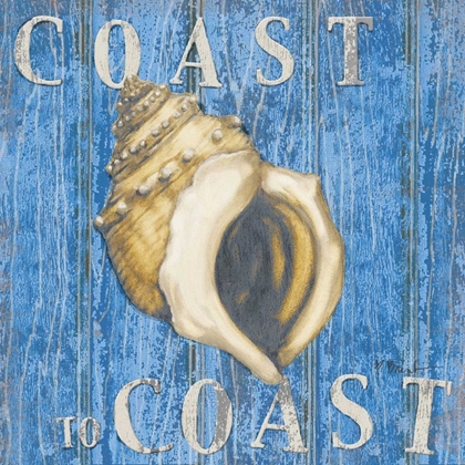 Picture of COASTAL USA CONCH