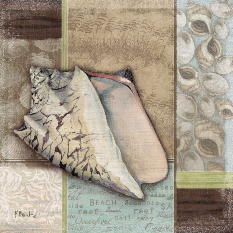 Picture of SANTA ROSA SHELL I