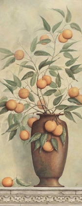 Picture of APRICOTIER