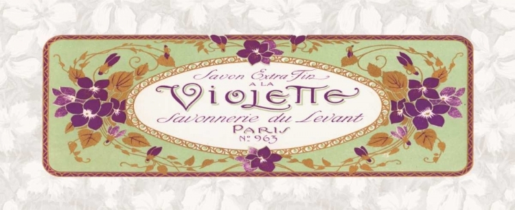 Picture of VIOLETTE