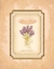 Picture of EAU DE PARFUM III