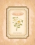Picture of EAU DE PARFUM IV