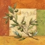 Picture of OLIVES DU MIDI I