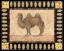 Picture of CAMEL