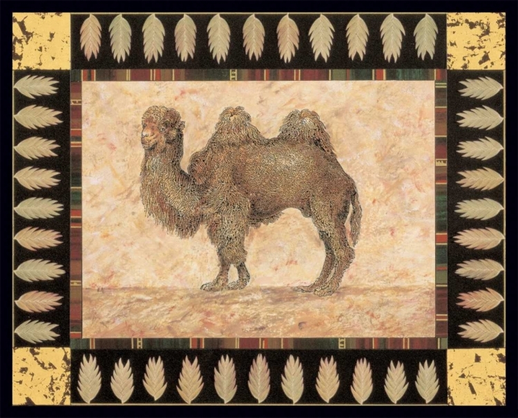 Picture of CAMEL