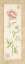 Picture of PEONY