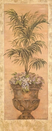 Picture of PARLOR PALM IV