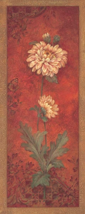 Picture of CHRYSANTHEMUM