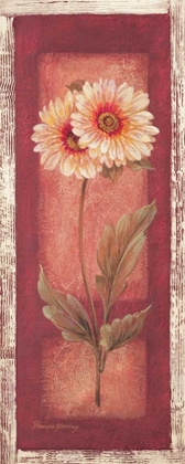 Picture of RED DOOR GAILLARDIA