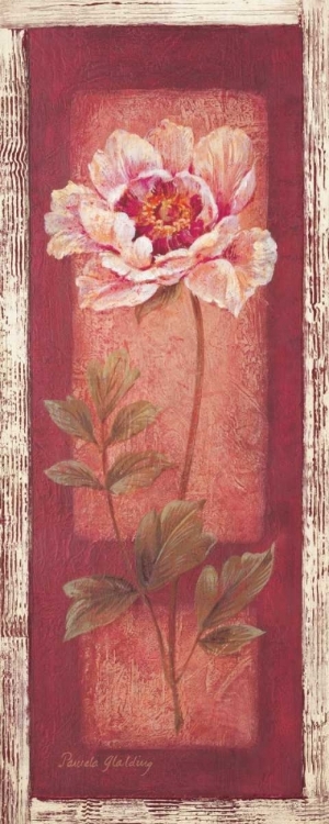 Picture of RED DOOR PEONY