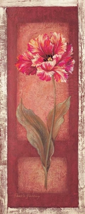 Picture of RED DOOR TULIP