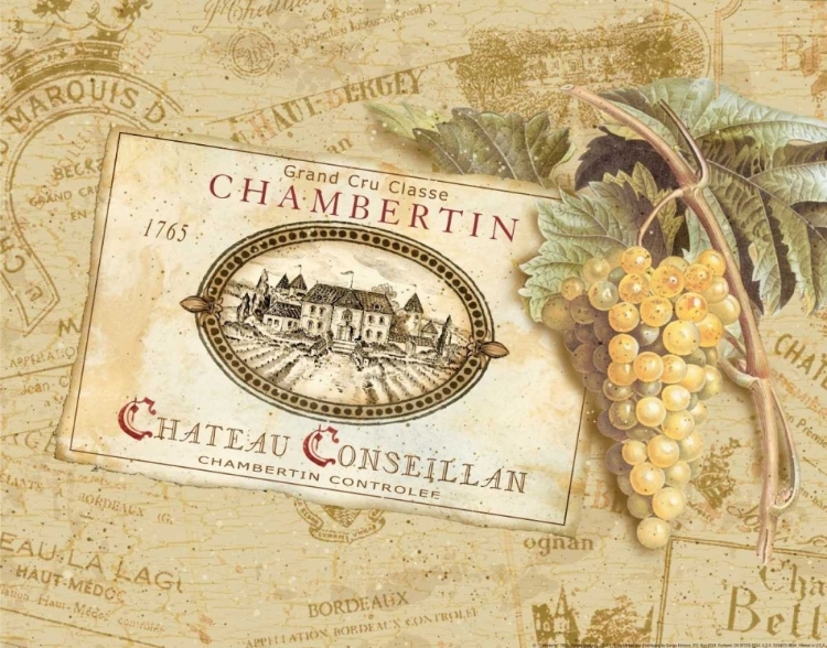 Picture of CHAMBERTIN