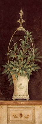 Picture of OLIVE TOPIARY II